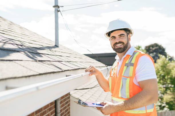Best Roof Gutter Cleaning  in Dodson Branch, TN