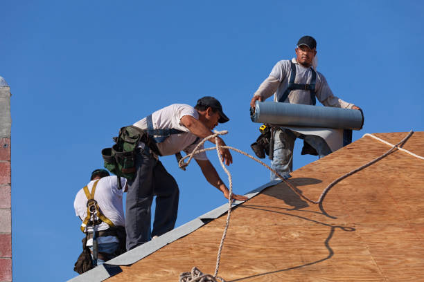 Best Gutter Installation and Roofing  in Dodson Branch, TN
